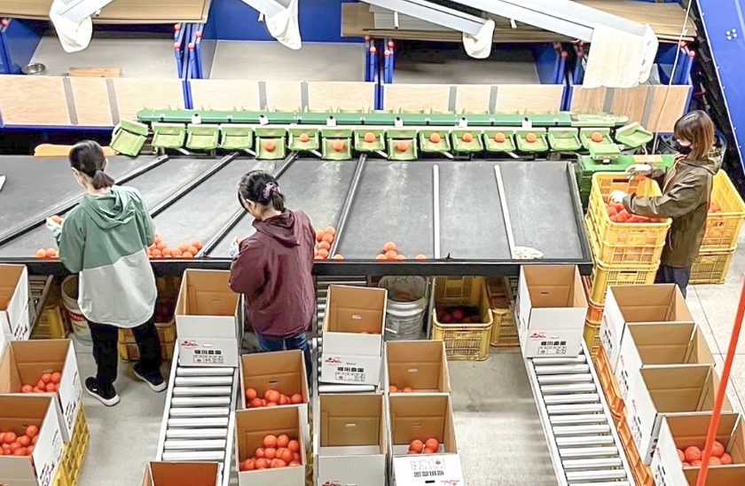 町の好きなところ（お得、便利、メリット…） 