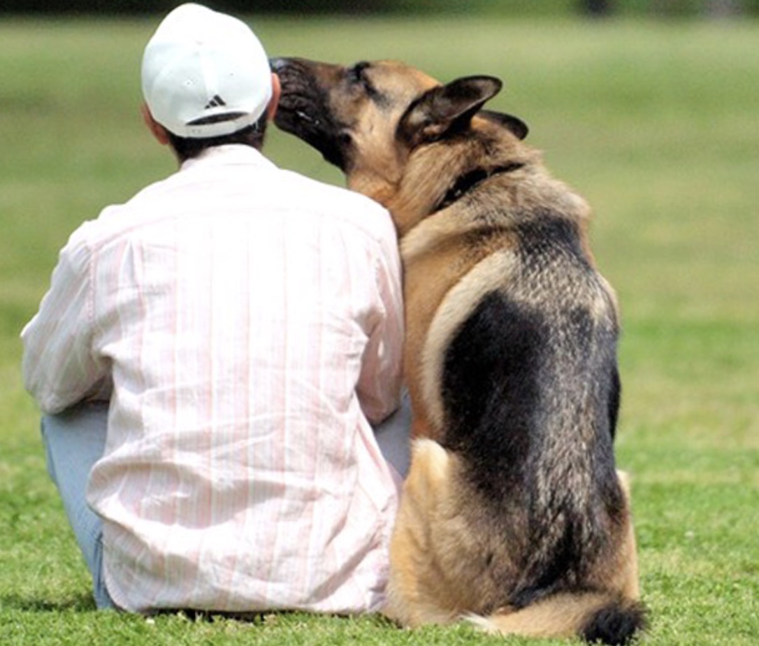 町の好きなところ（お得、便利...