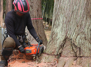 町の好きなところ（お得、便利、メリット…） 