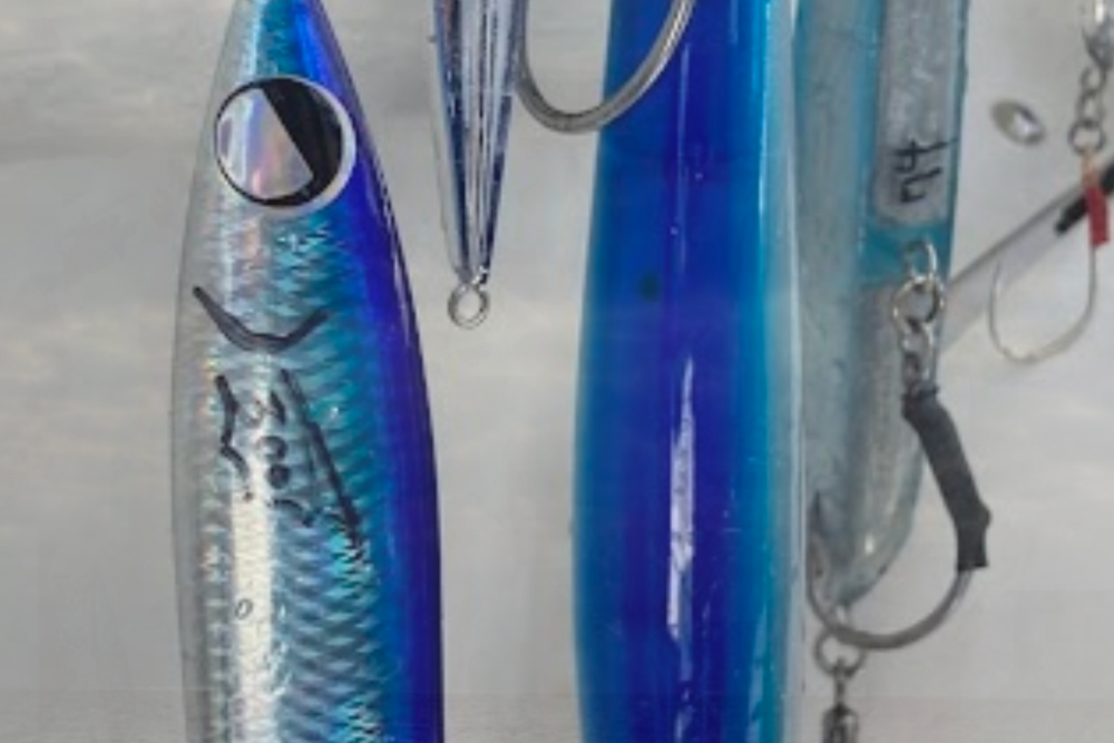 町の好きなところ（お得、便利、メリット…） 