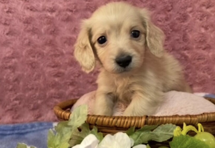 町の好きなところ（お得、便利...