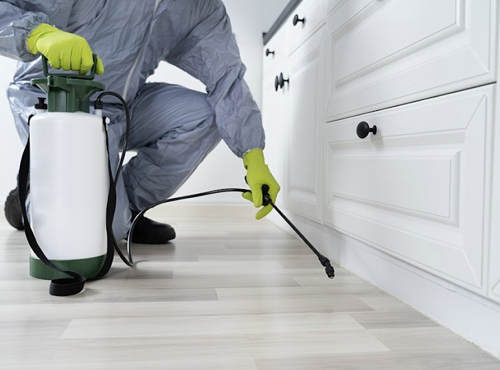 町の好きなところ（お得、便利、メリット…） 