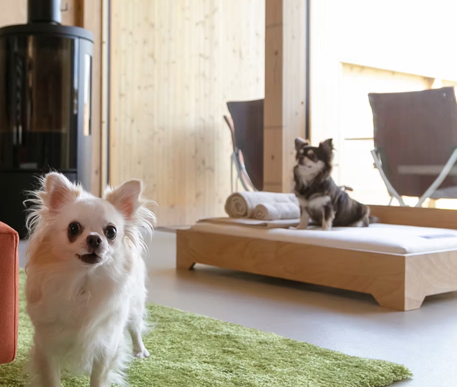 町の好きなところ（お得、便利、メリット…） 