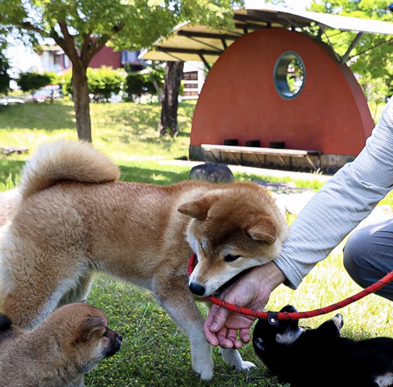 町の好きなところ（お得、便利、メリット…） 