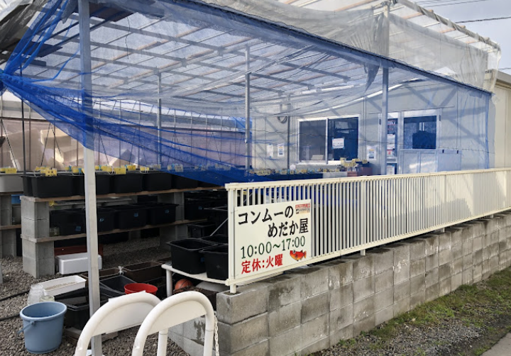 町の好きなところ（お得、便利、メリット…） 