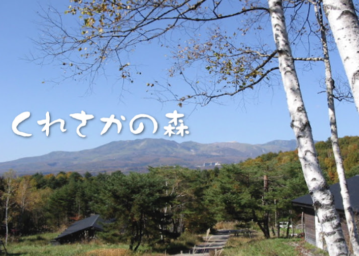 町の好きなところ（お得、便利...