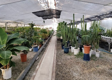 町の好きなところ（お得、便利、メリット…） 