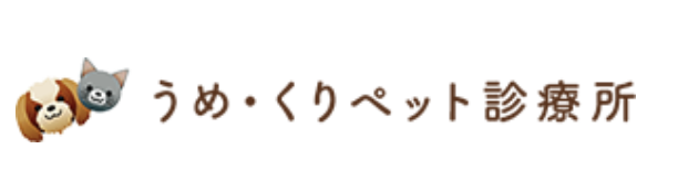ペットショップ！オススメを教...