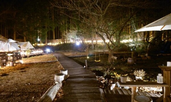 キャンプ場、山登り・トレッキ...