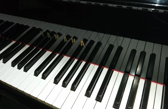 ピアノ教室、音楽教室（楽器・声楽など）