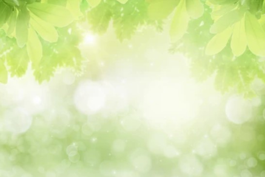 肩こり、腰痛などにオススメの...