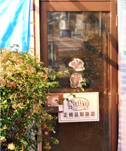 ペットショップ！オススメを教...