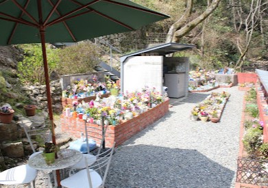 ペットショップ！オススメを教えて！