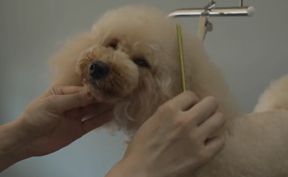 オススメの総合病院