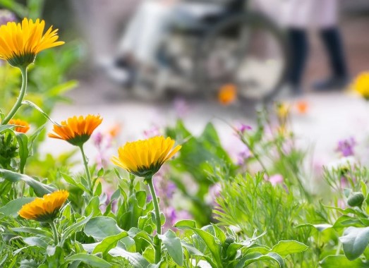 介護・老後の生活情報やアドバイス