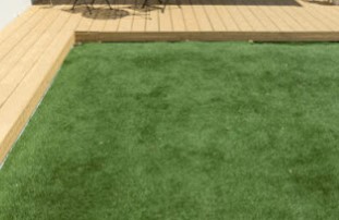 ガーデニング用品・資材・観葉植物のオススメ店