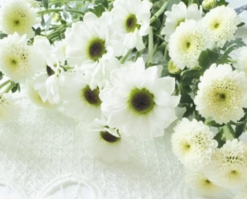 葬儀の依頼、お墓の相談について