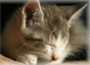 葬儀の依頼、お墓の相談について