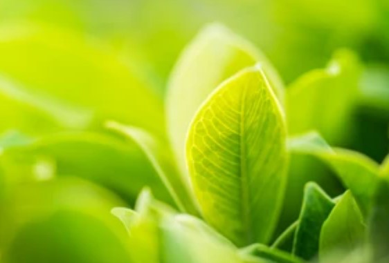 肩こり、腰痛などにオススメの...