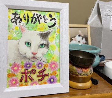 葬儀の依頼、お墓の相談について