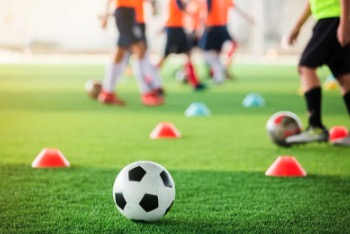 スポーツ系サークル（場所・曜日・参加条件等…）