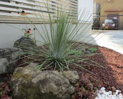 ガーデニング用品・資材・観葉植物のオススメ店