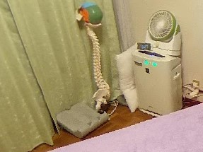 肩こり、腰痛などにオススメの...