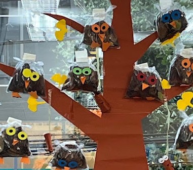 保育園、幼稚園についての情報...