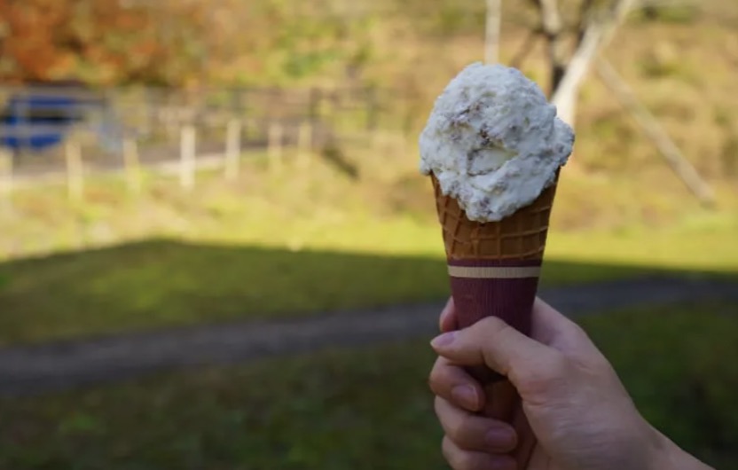 町の好きなところ（お得、便利...