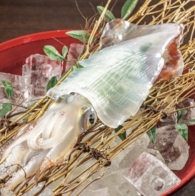 居酒屋・ダイニング・飲み屋さ...